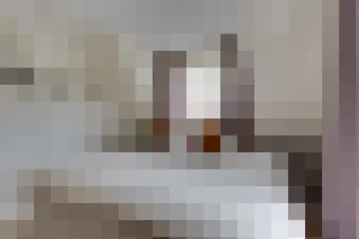 Watersnipstraat 6 Lichtenvoorde thumbnail 36