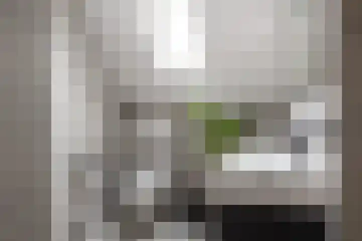 Watersnipstraat 6 Lichtenvoorde thumbnail 38