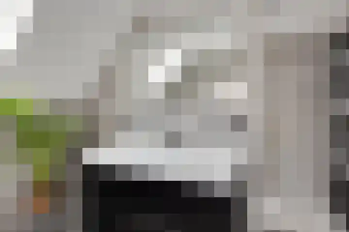 Watersnipstraat 6 Lichtenvoorde thumbnail 39