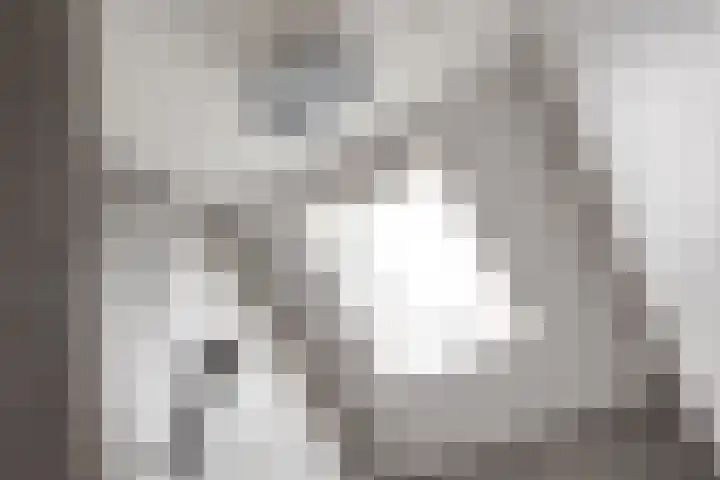 Watersnipstraat 6 Lichtenvoorde thumbnail 43