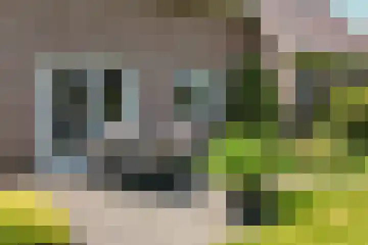 Watersnipstraat 6 Lichtenvoorde thumbnail 47