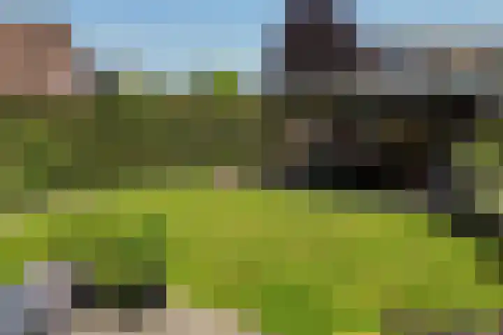 Watersnipstraat 6 Lichtenvoorde thumbnail 49