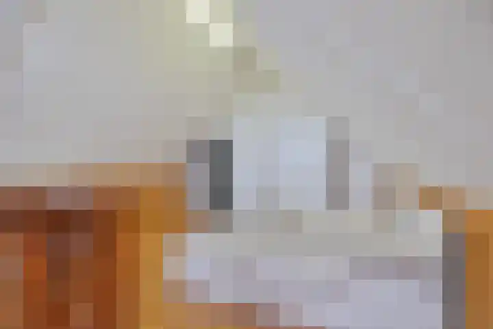 Watersnipstraat 62 Beneden-Leeuwen thumbnail 36