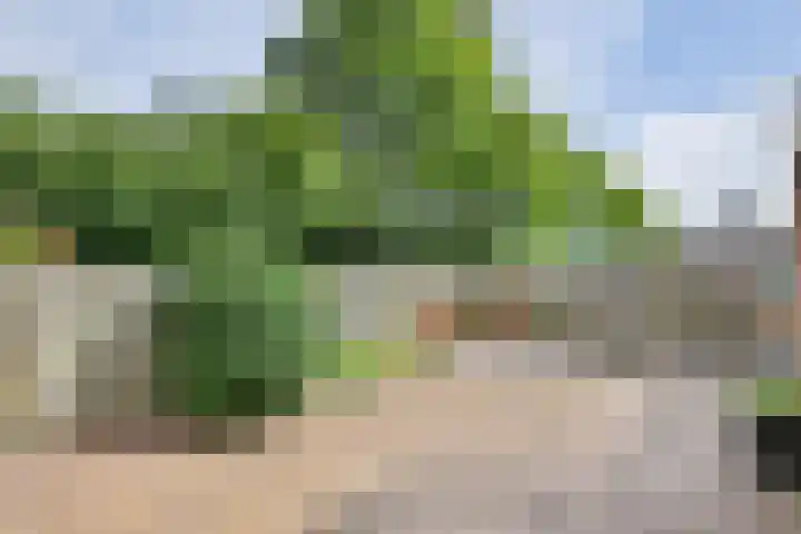 Watersnipstraat 62 Beneden-Leeuwen thumbnail 37