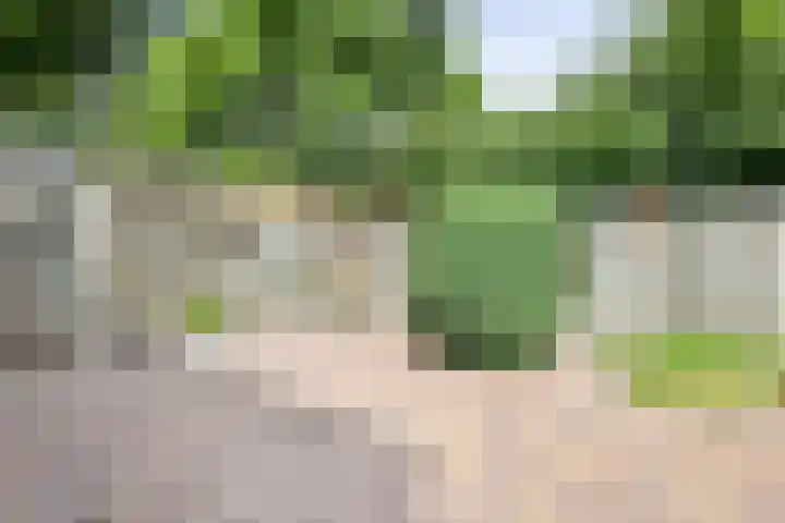 Watersnipstraat 62 Beneden-Leeuwen thumbnail 40