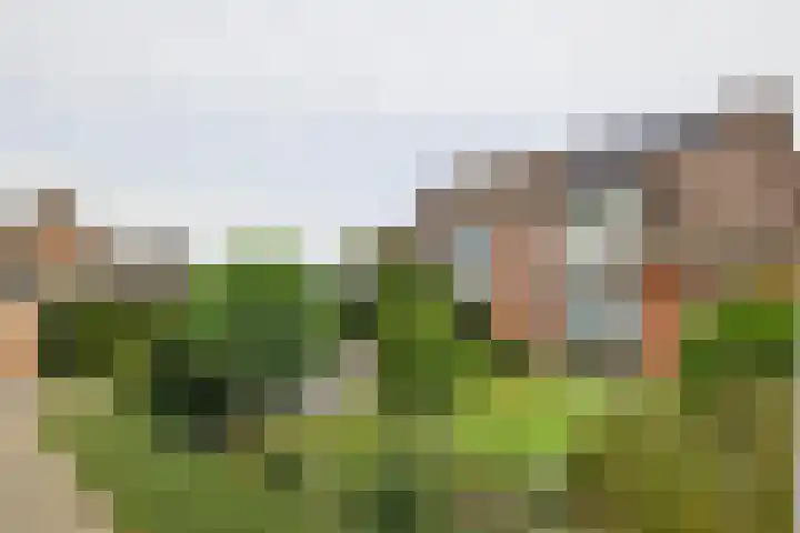 Watersnipstraat 62 Beneden-Leeuwen thumbnail 43