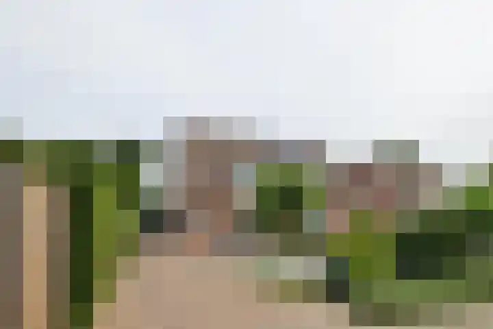Watersnipstraat 62 Beneden-Leeuwen thumbnail 44