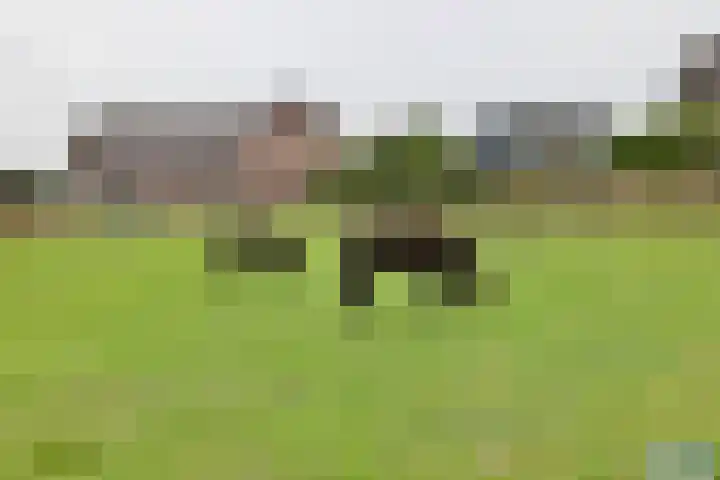 Watersnipstraat 62 Beneden-Leeuwen thumbnail 5