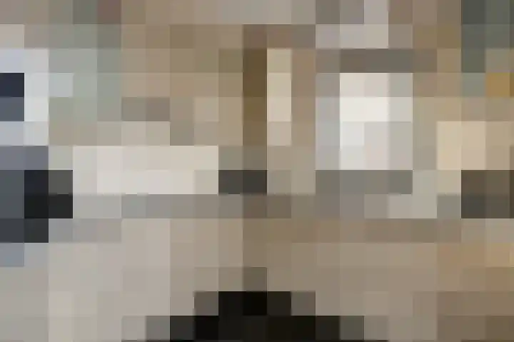 Watersnipstraat 86 Wijchen thumbnail 13