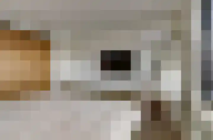 Watersnipstraat 86 Wijchen thumbnail 18