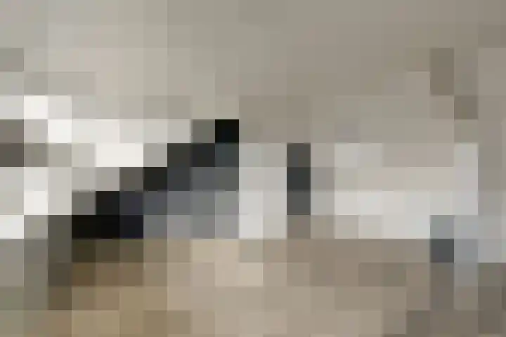 Watersnipstraat 86 Wijchen thumbnail 27