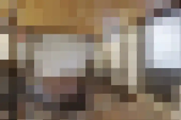 Watersnipstraat 86 Wijchen thumbnail 32