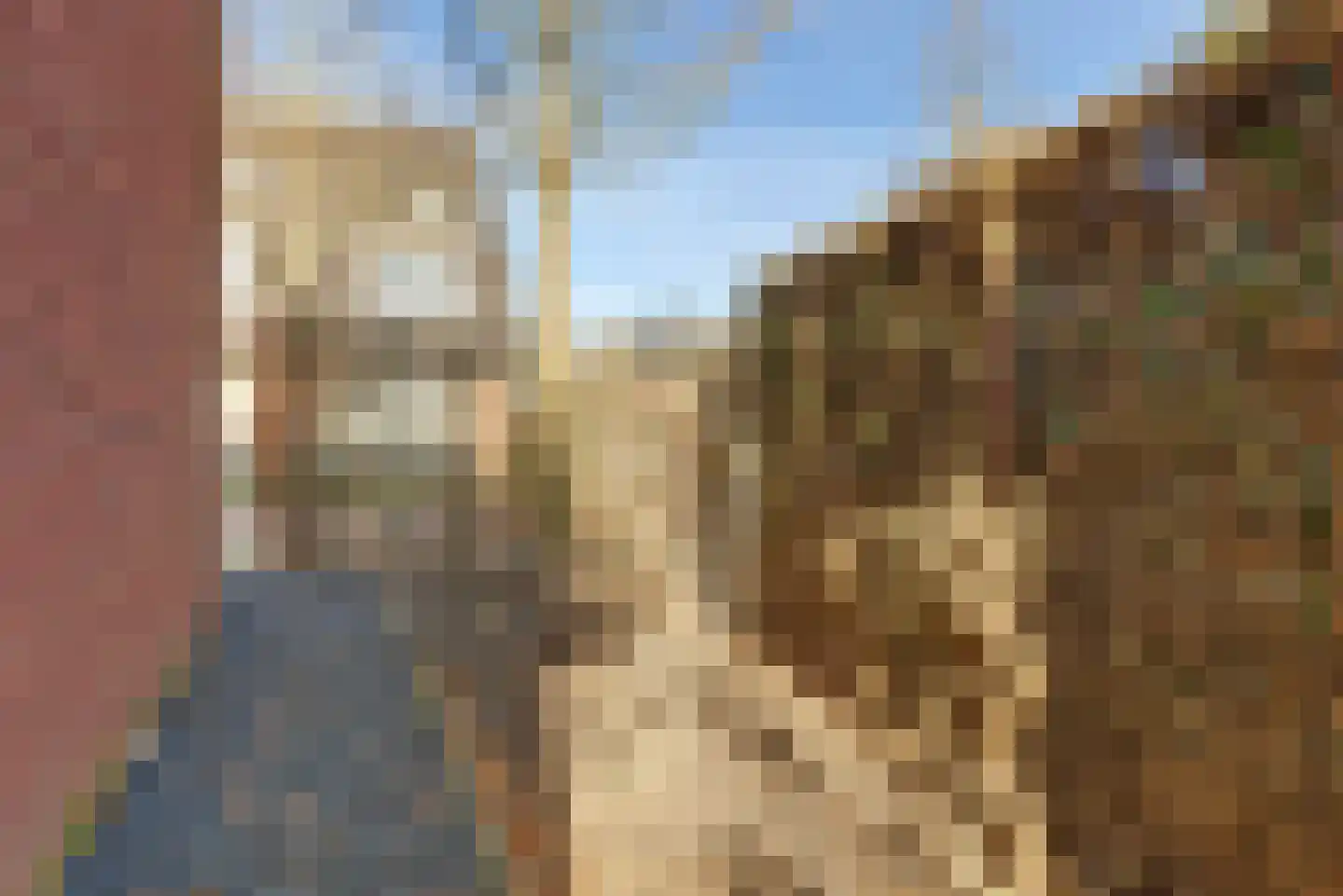 Watersnipweide 1 Renswoude thumbnail 19