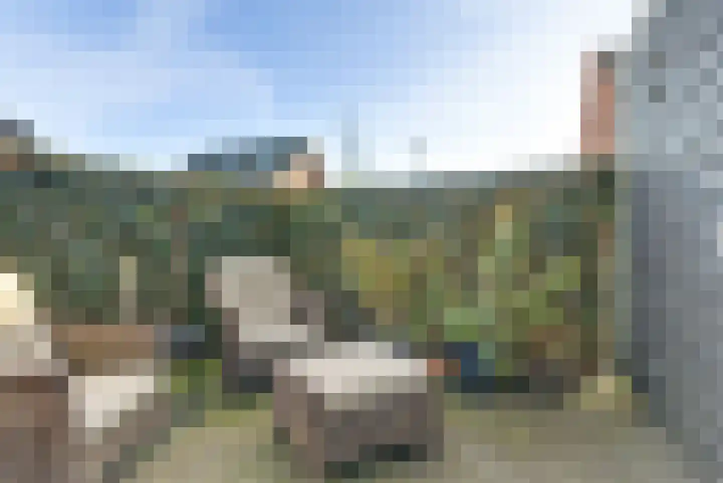 Watersnipweide 1 Renswoude thumbnail 20