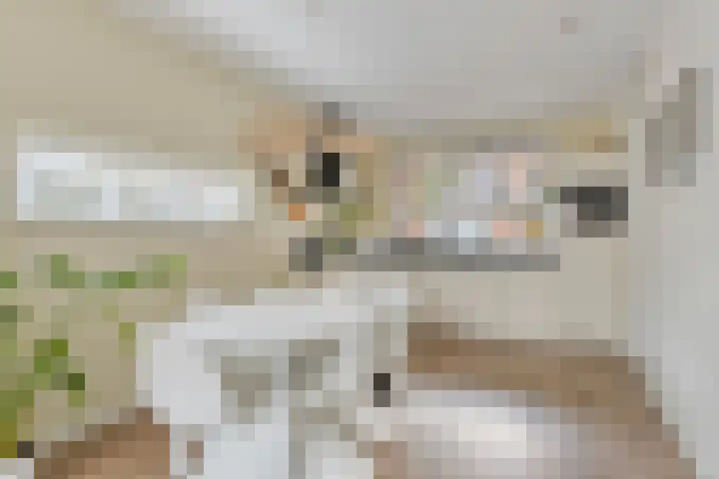 Watersnipweide 13 Renswoude thumbnail 11