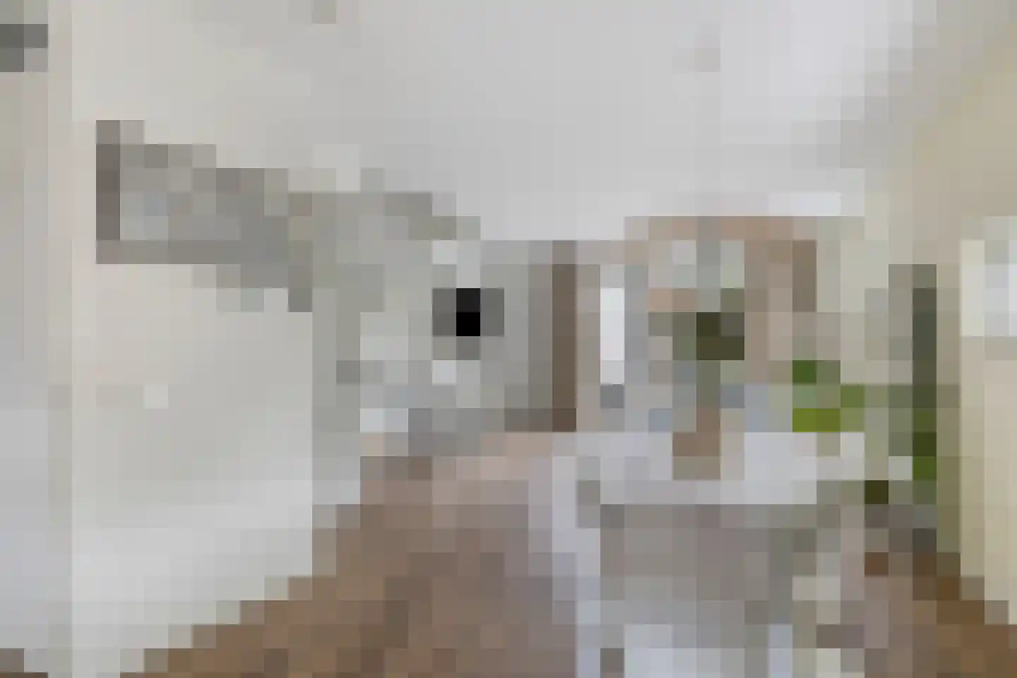 Watersnipweide 13 Renswoude thumbnail 16