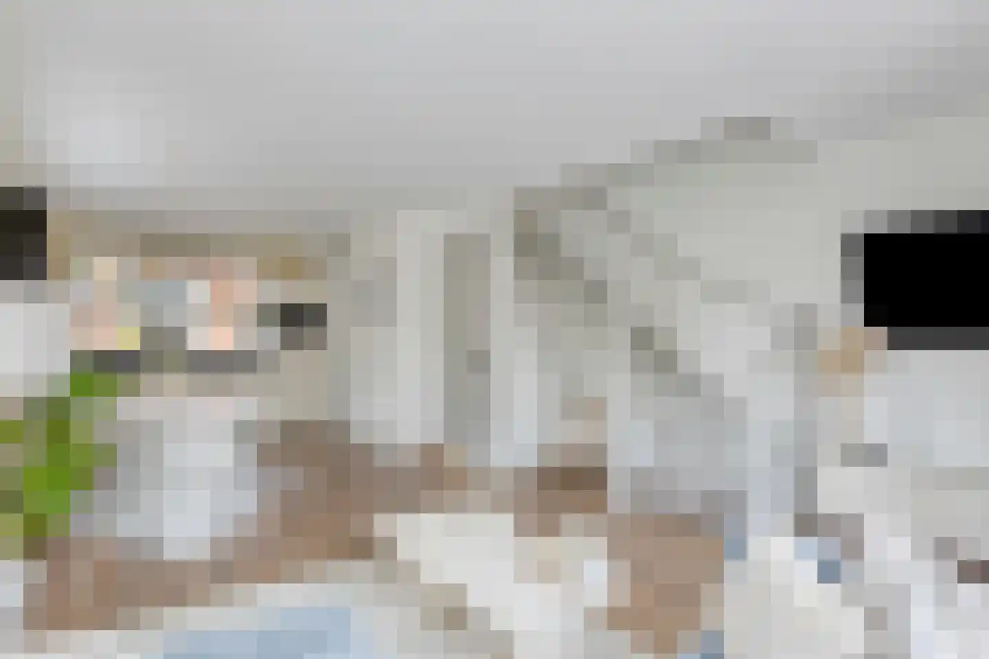 Watersnipweide 13 Renswoude thumbnail 17