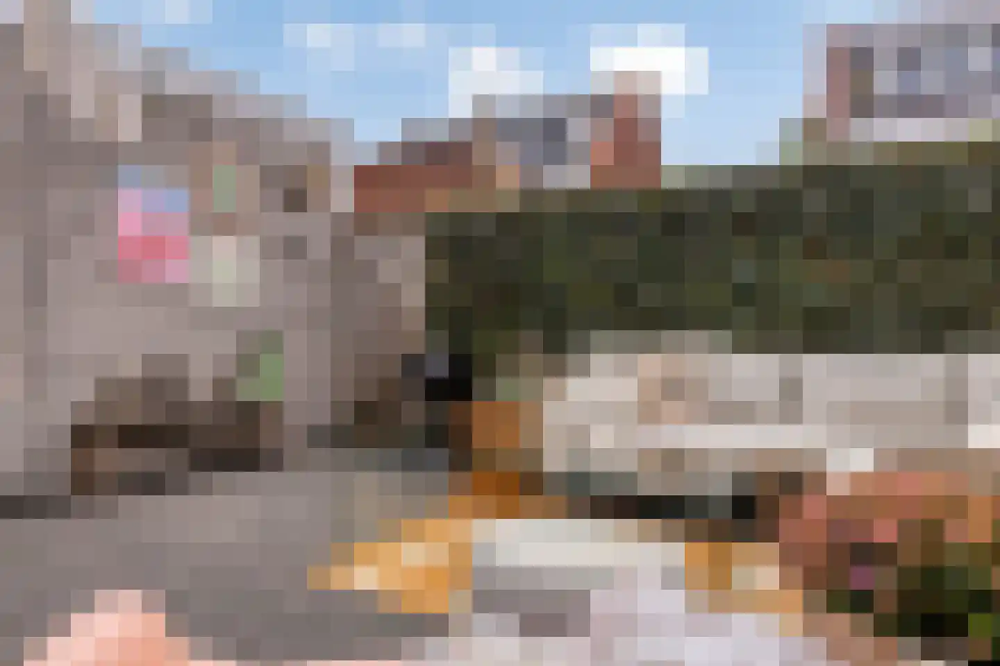 Watersnipweide 13 Renswoude thumbnail 28