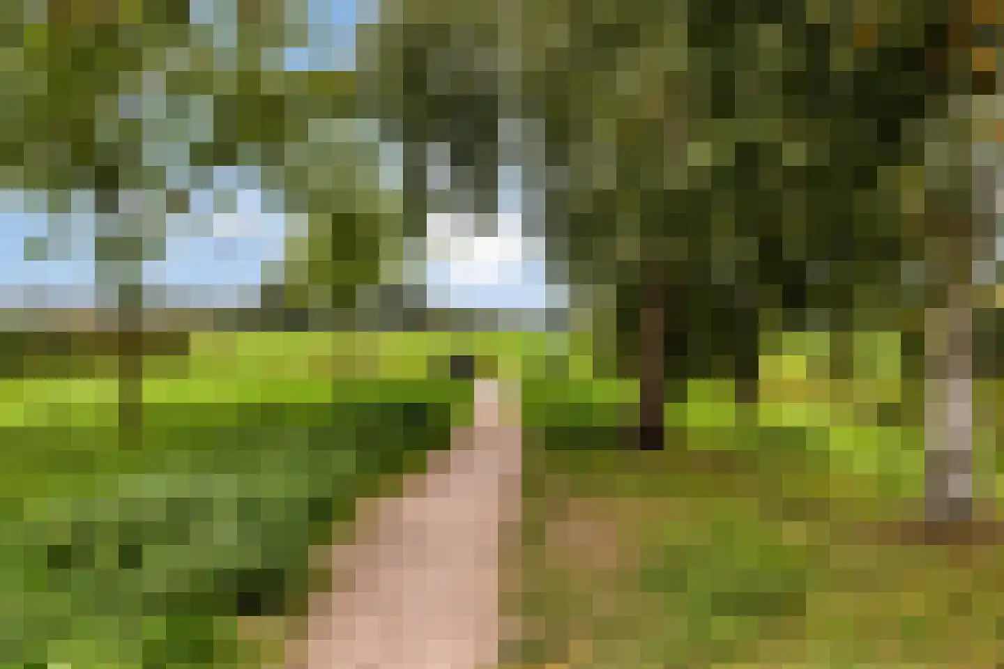 Watersnipweide 13 Renswoude thumbnail 31