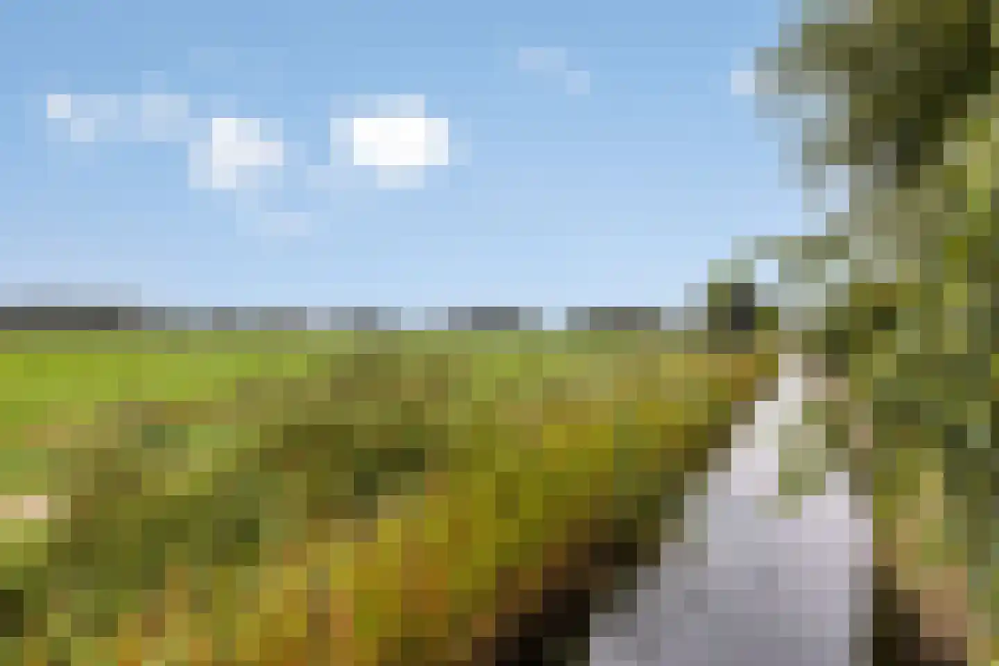 Watersnipweide 13 Renswoude thumbnail 32