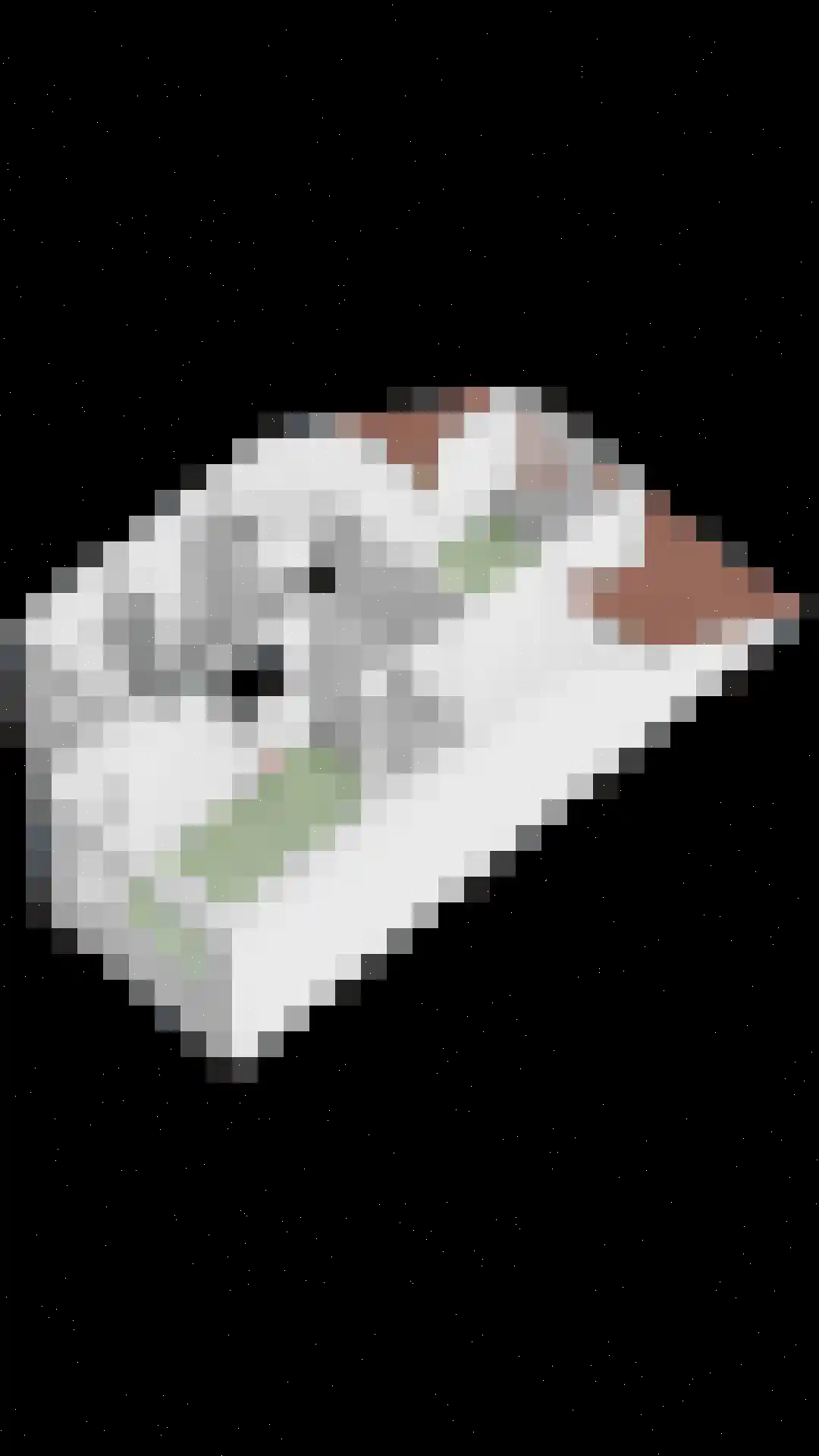 Watersnipweide 13 Renswoude thumbnail 38