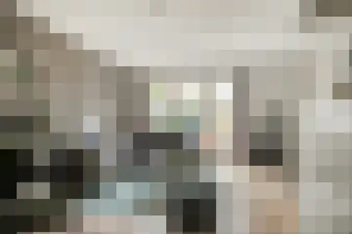 Watersnipweide 23 Renswoude thumbnail 11