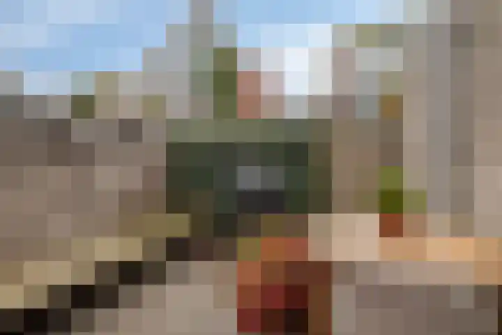 Watersnipweide 23 Renswoude thumbnail 20