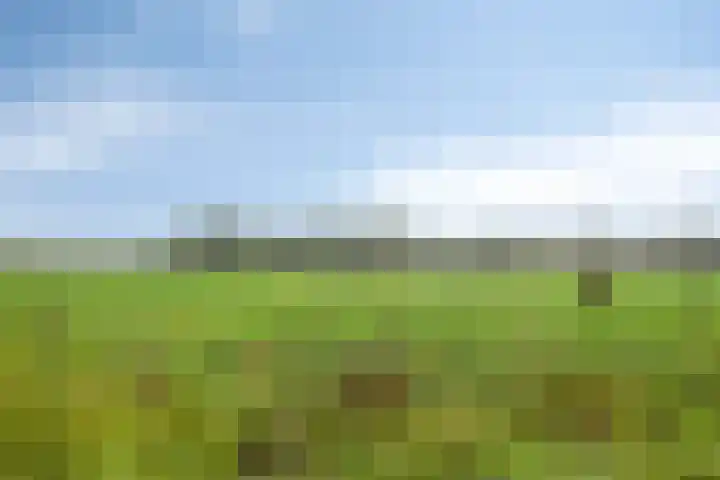Watersnipweide 23 Renswoude thumbnail 27