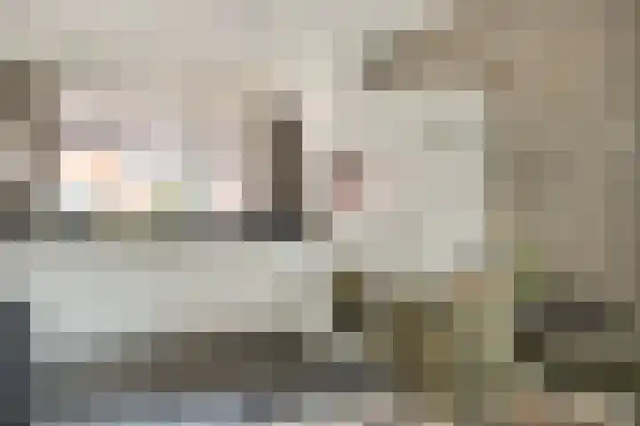 Watersnipweide 23 Renswoude thumbnail 8