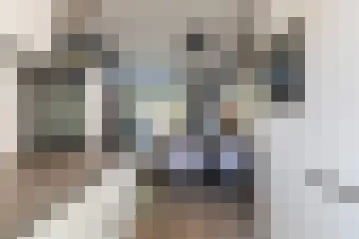 Watersnipweide 28 Renswoude thumbnail 12
