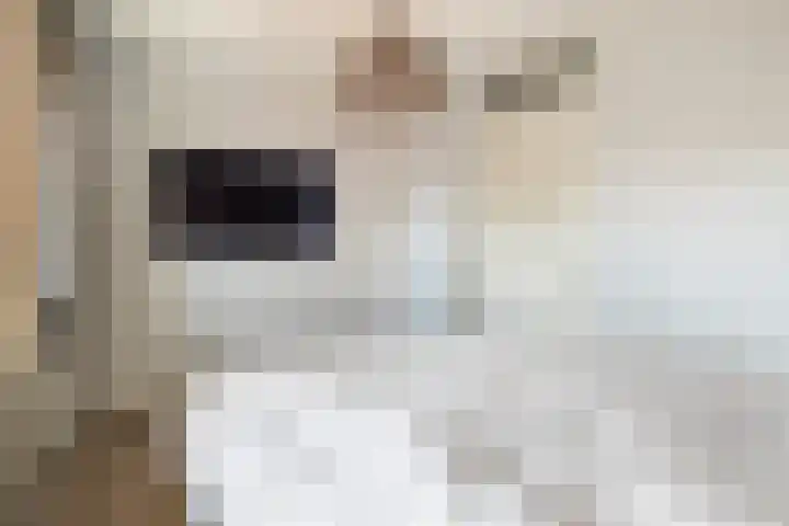 Watersnipweide 28 Renswoude thumbnail 15