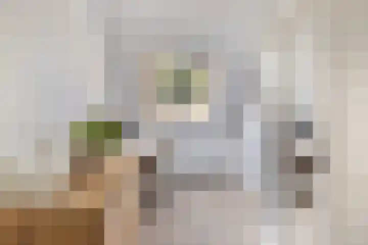 Watersnipweide 28 Renswoude thumbnail 19