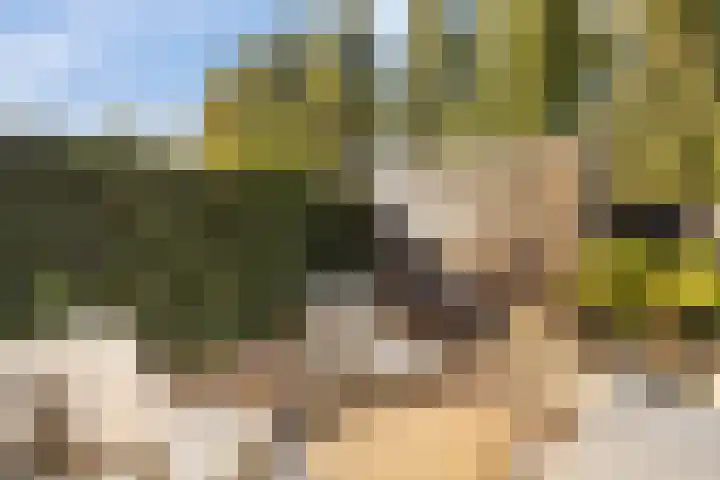 Watersnipweide 28 Renswoude thumbnail 26