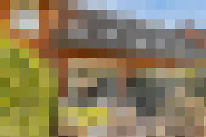 Watersnipweide 28 Renswoude thumbnail 27