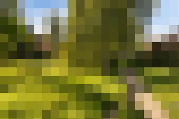 Watersnipweide 28 Renswoude thumbnail 31