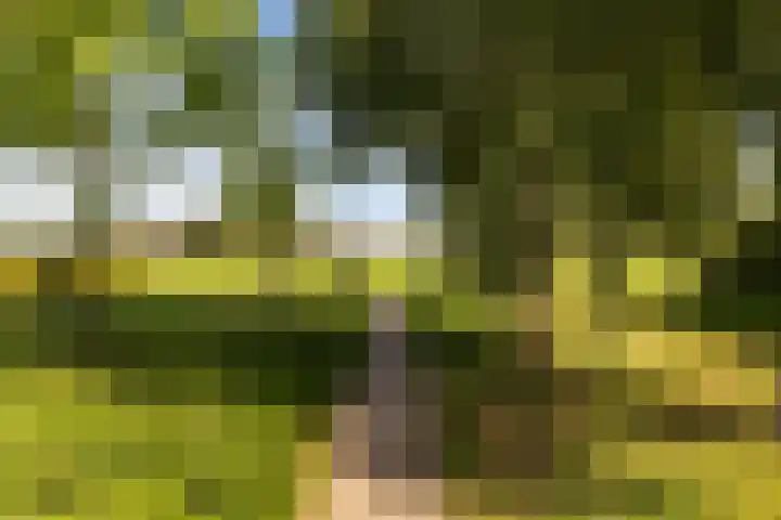 Watersnipweide 28 Renswoude thumbnail 32