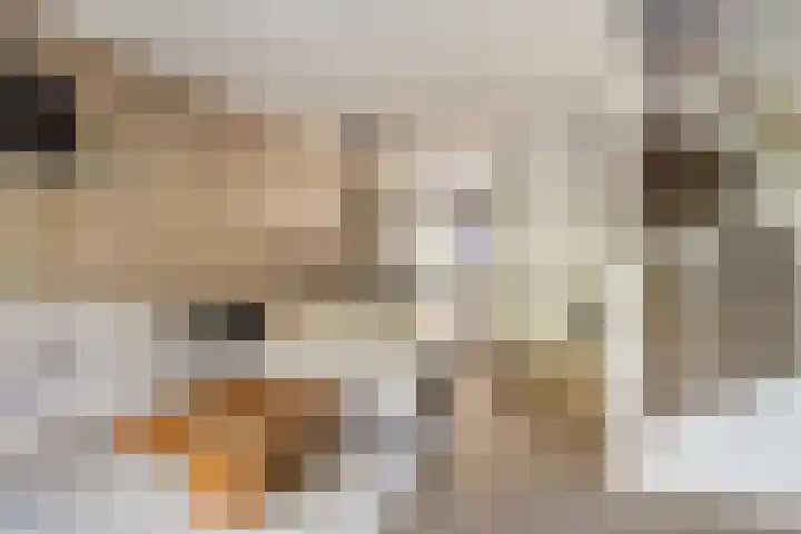 Watersnipweide 28 Renswoude thumbnail 5