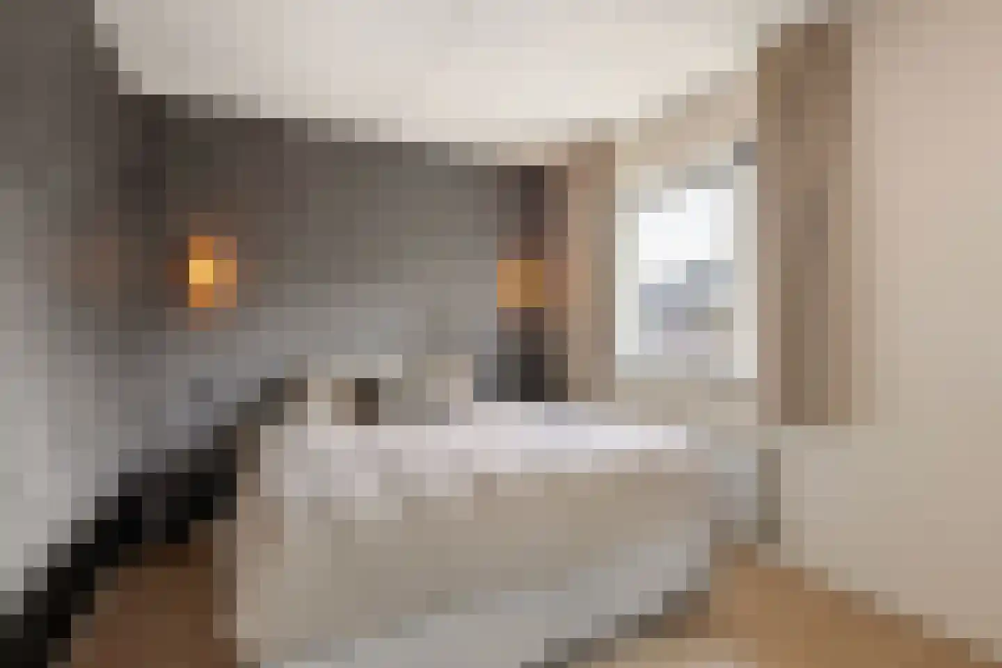Watersnipweide 30 Renswoude thumbnail 15