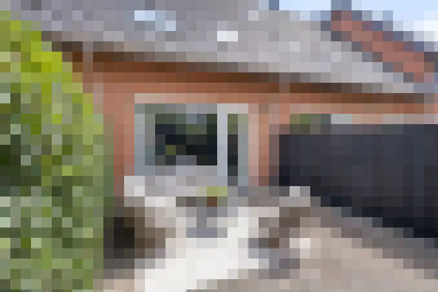 Watersnipweide 30 Renswoude thumbnail 21