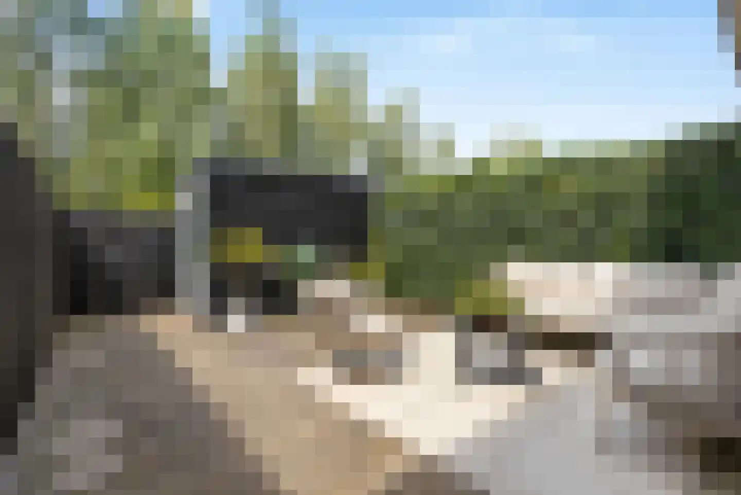 Watersnipweide 30 Renswoude thumbnail 22