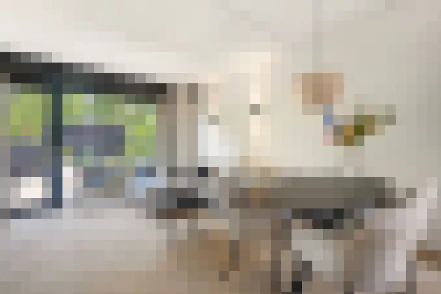 Watersnipweide 30 Renswoude thumbnail 4