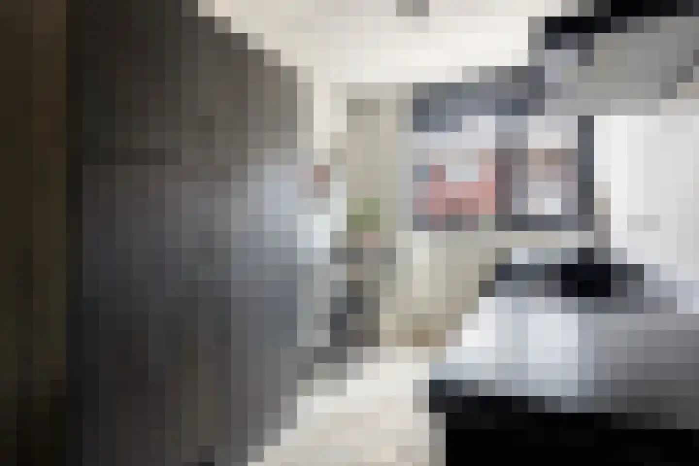 Watersnipweide 30 Renswoude thumbnail 7