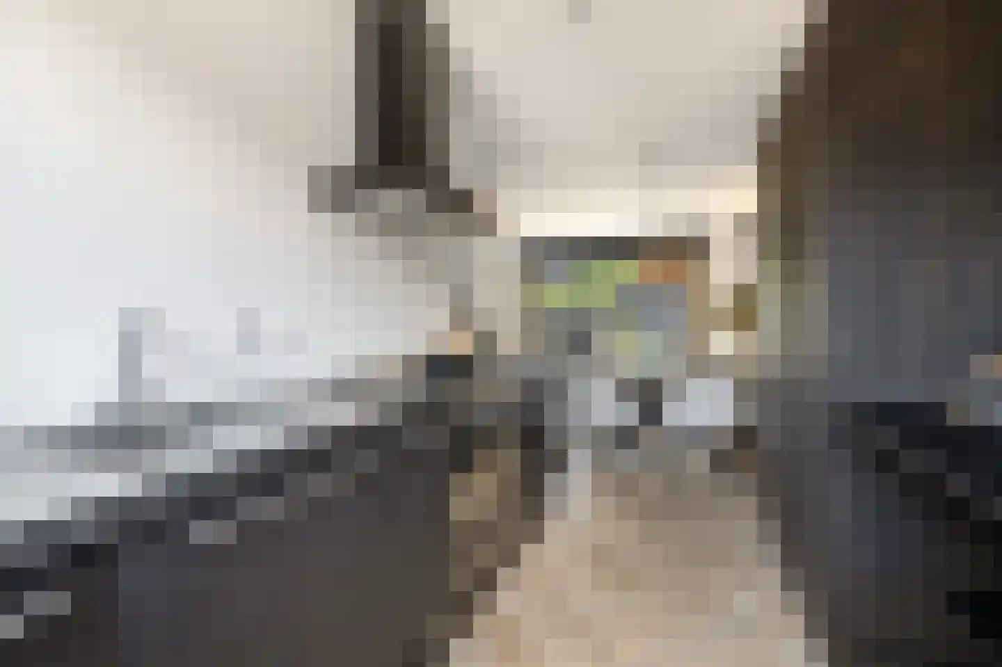 Watersnipweide 30 Renswoude thumbnail 9