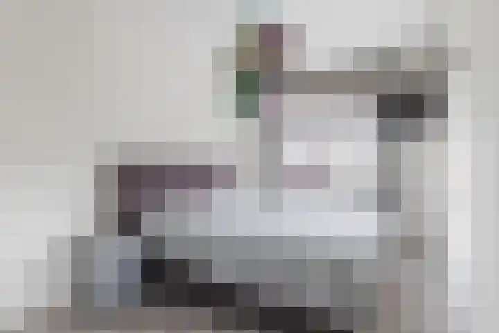 Watersnipweide 51 Renswoude thumbnail 15