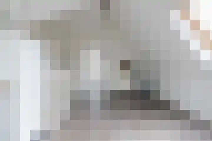 Watersnipweide 51 Renswoude thumbnail 23