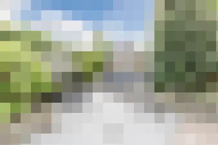 Watersnipweide 51 Renswoude thumbnail 29