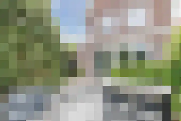Watersnipweide 51 Renswoude thumbnail 30
