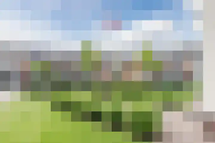 Watersnipweide 51 Renswoude thumbnail 32