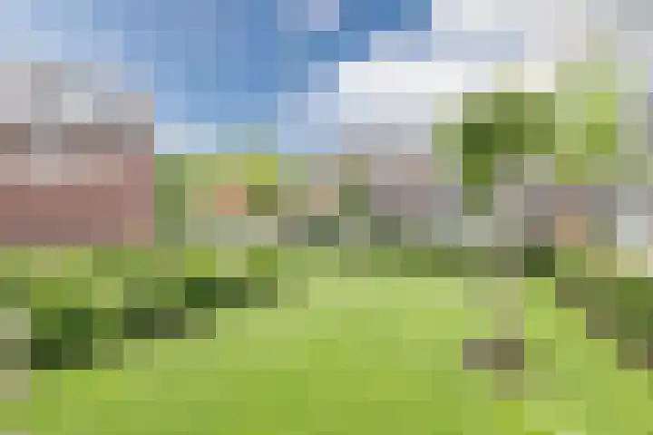 Watersnipweide 51 Renswoude thumbnail 33