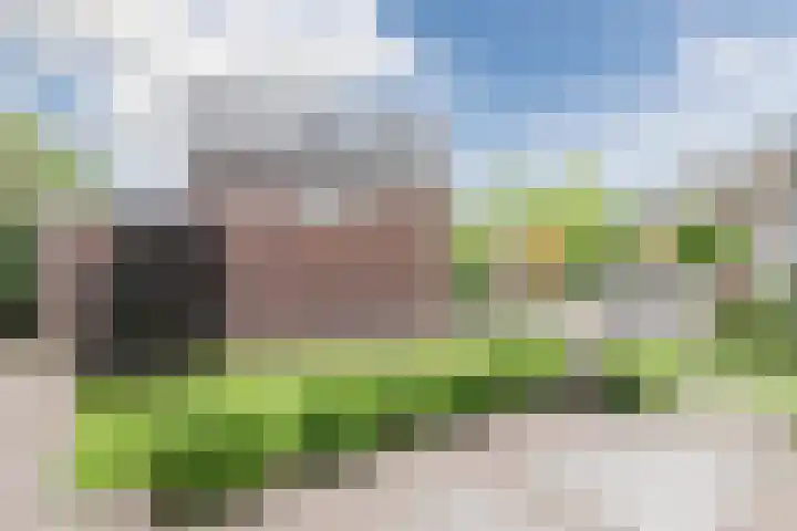 Watersnipweide 51 Renswoude thumbnail 34